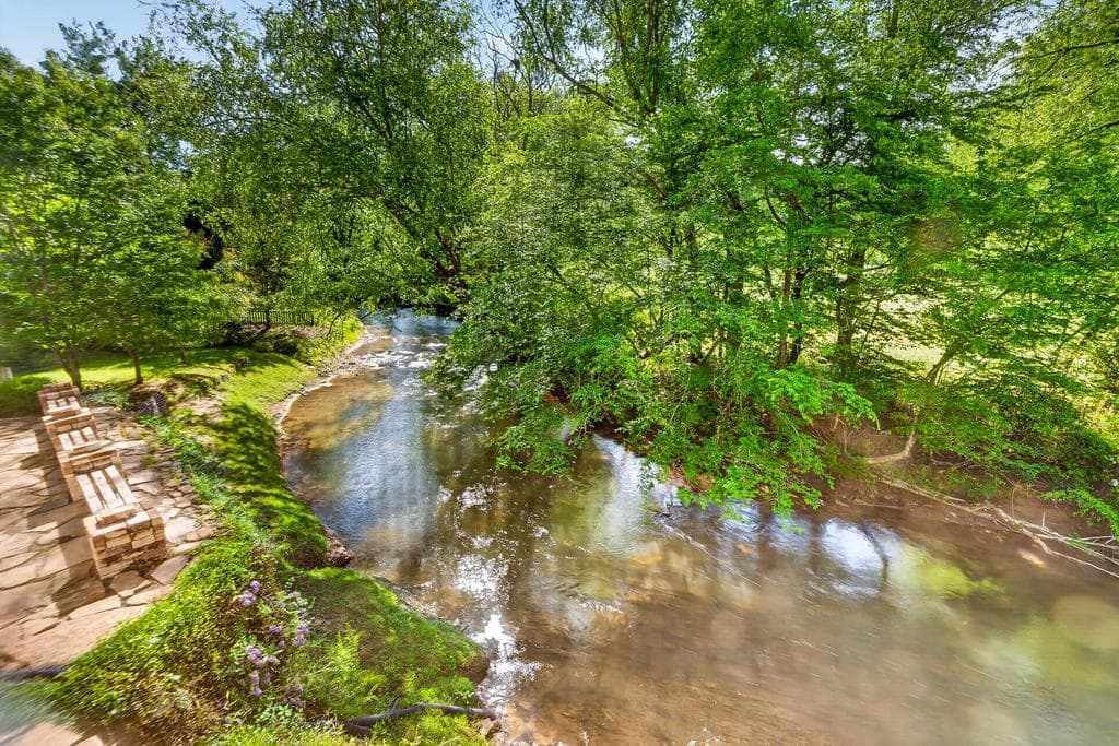 401 Mountain Rivers Road, Mineral Bluff GA 30559 - Photo