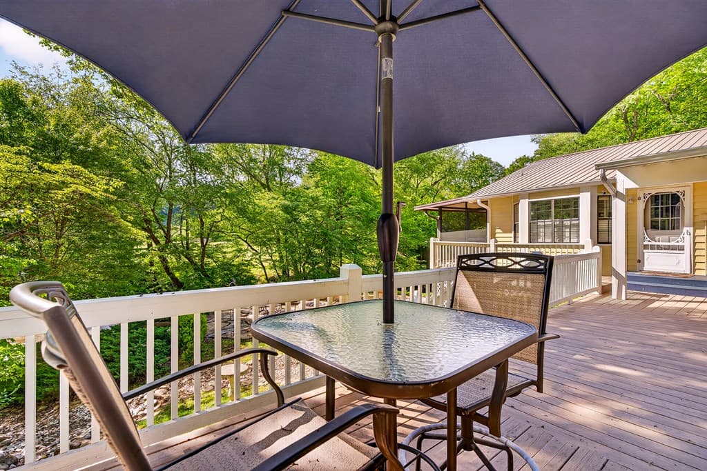 401 Mountain Rivers Road, Mineral Bluff GA 30559 - Photo