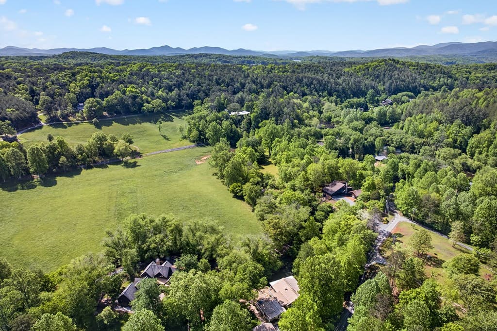 401 Mountain Rivers Road, Mineral Bluff GA 30559 - Photo