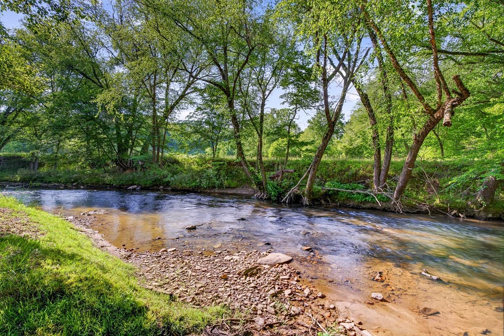 401 Mountain Rivers Road, Mineral Bluff GA 30559 - Photo