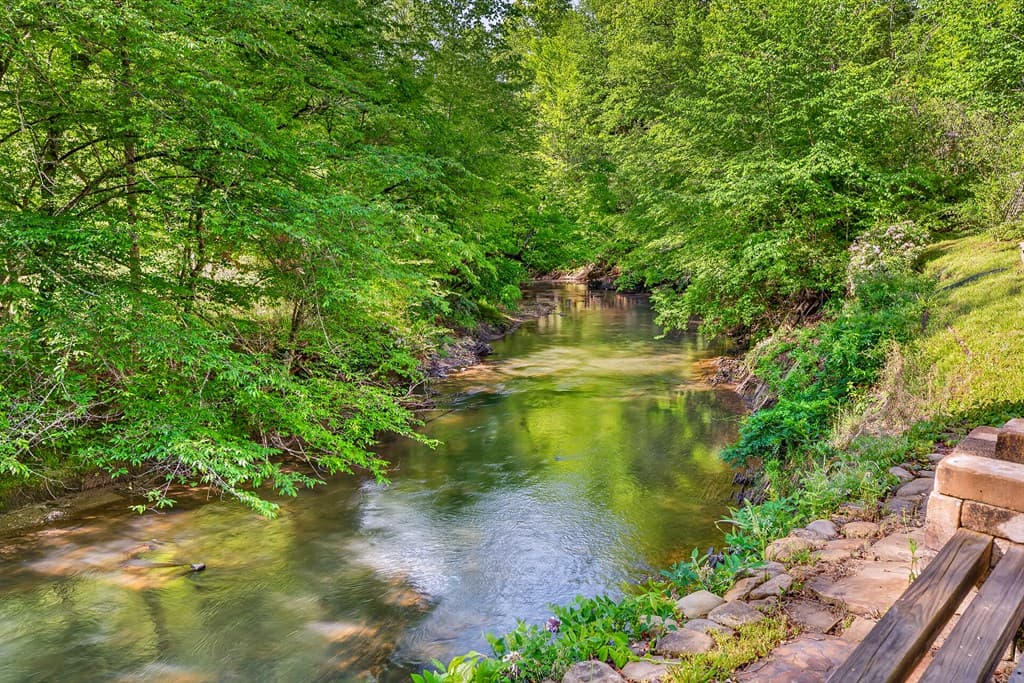 401 Mountain Rivers Road, Mineral Bluff GA 30559 - Photo