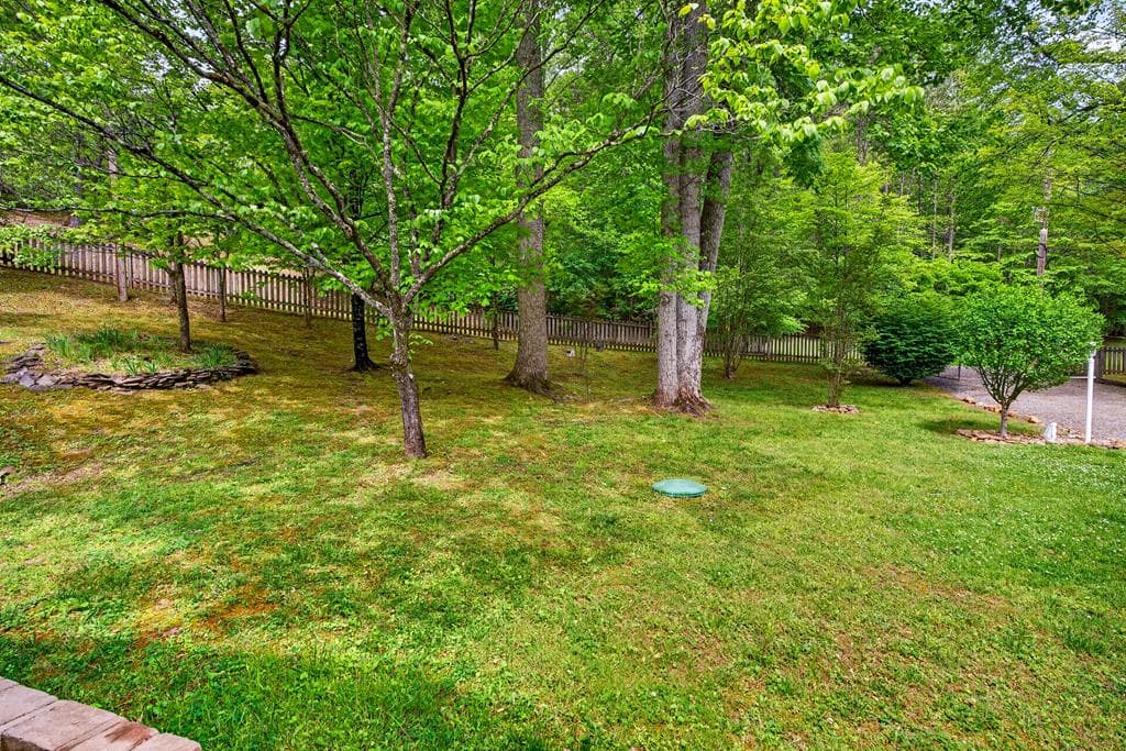 401 Mountain Rivers Road, Mineral Bluff GA 30559 - Photo