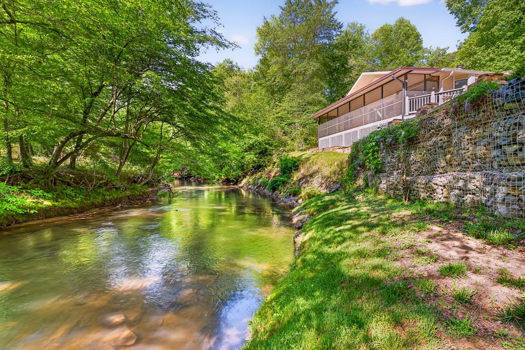 401 Mountain Rivers Road, Mineral Bluff GA 30559 - Photo