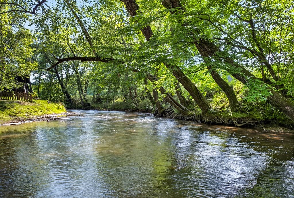 401 Mountain Rivers Road, Mineral Bluff GA 30559 - Photo