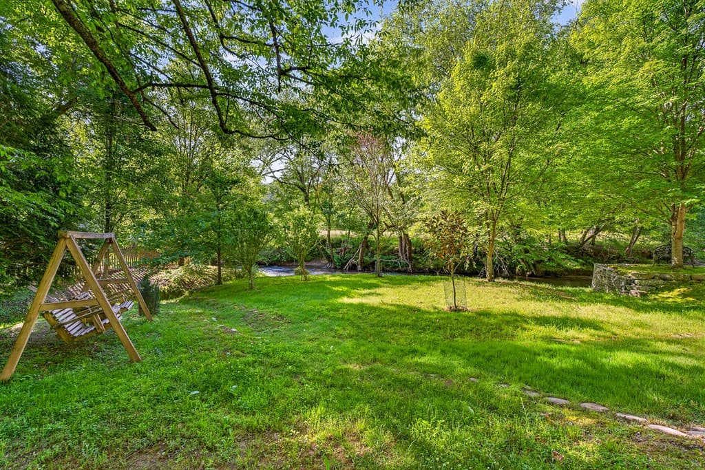 401 Mountain Rivers Road, Mineral Bluff GA 30559 - Photo