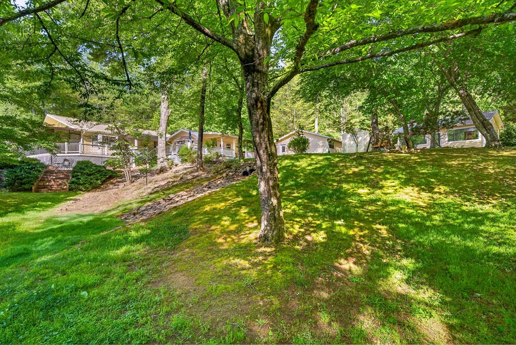 401 Mountain Rivers Road, Mineral Bluff GA 30559 - Photo