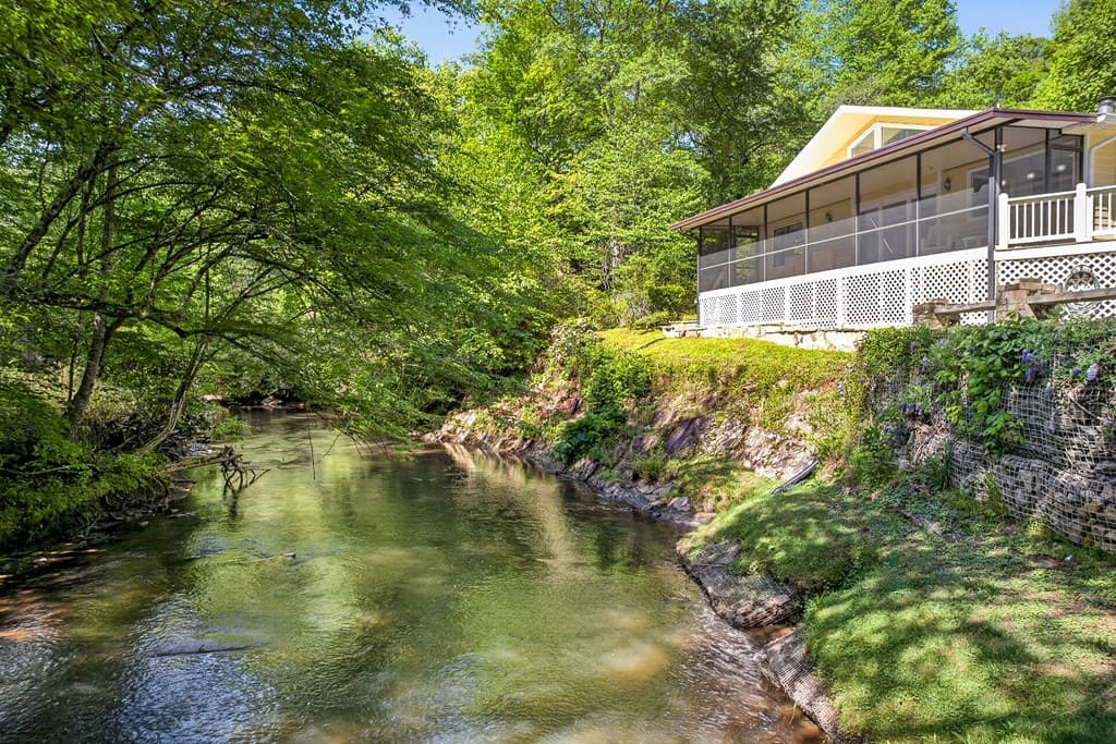 401 Mountain Rivers Road, Mineral Bluff GA 30559 - Photo