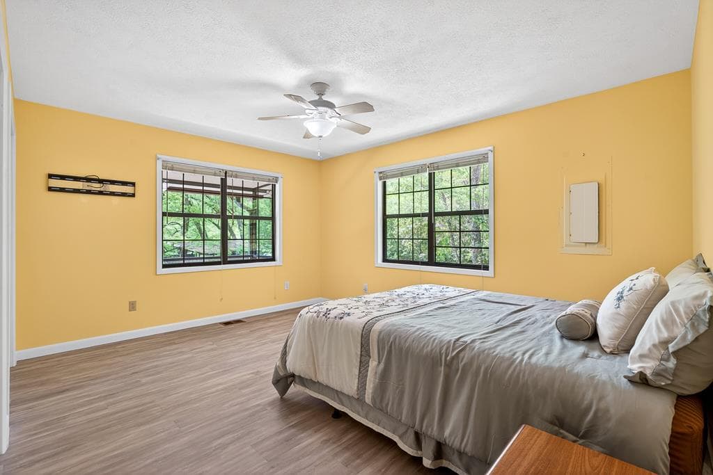 401 Mountain Rivers Road, Mineral Bluff GA 30559 - Photo