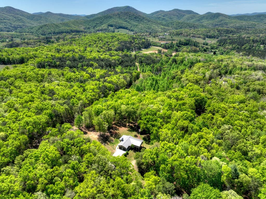 588 Padena Drive, Morganton GA 30560 - Photo