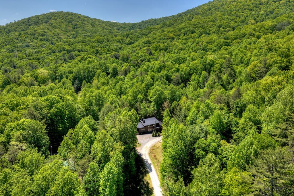 197 Tipton Court, Cherry Log GA 30522 - Photo