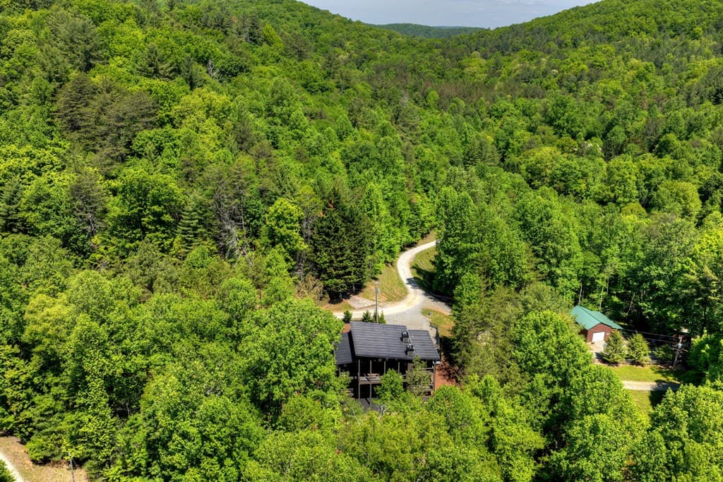 197 Tipton Court, Cherry Log GA 30522 - Photo