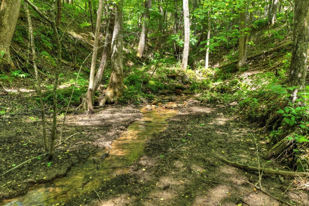197 Tipton Court, Cherry Log GA 30522 - Photo