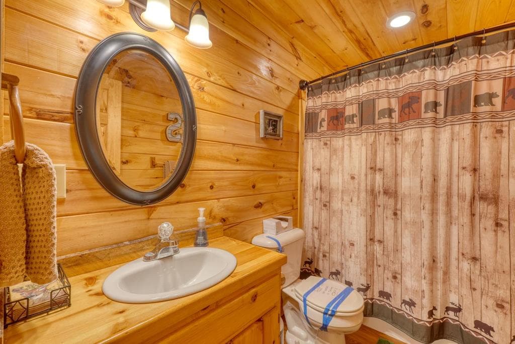 215 The Woods Road, Mineral Bluff GA 30559 - Photo