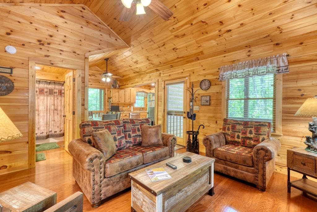 215 The Woods Road, Mineral Bluff GA 30559 - Photo