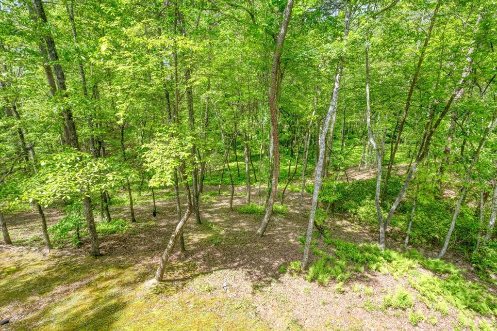 215 The Woods Road, Mineral Bluff GA 30559 - Photo