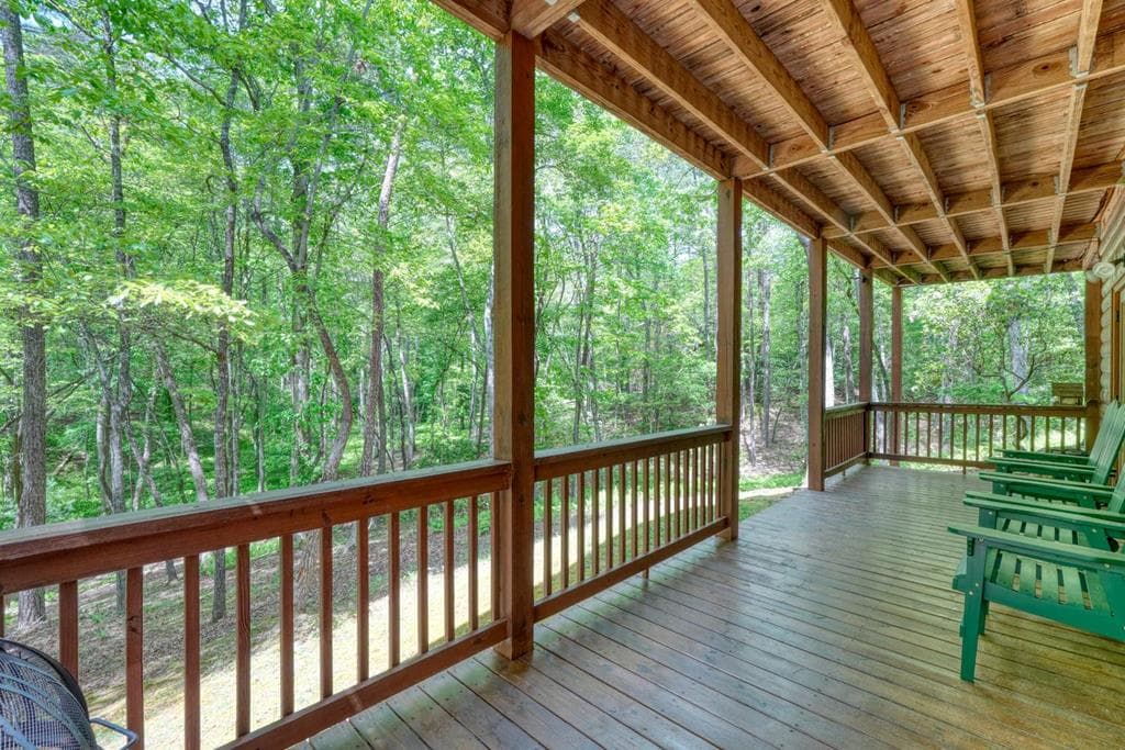 215 The Woods Road, Mineral Bluff GA 30559 - Photo