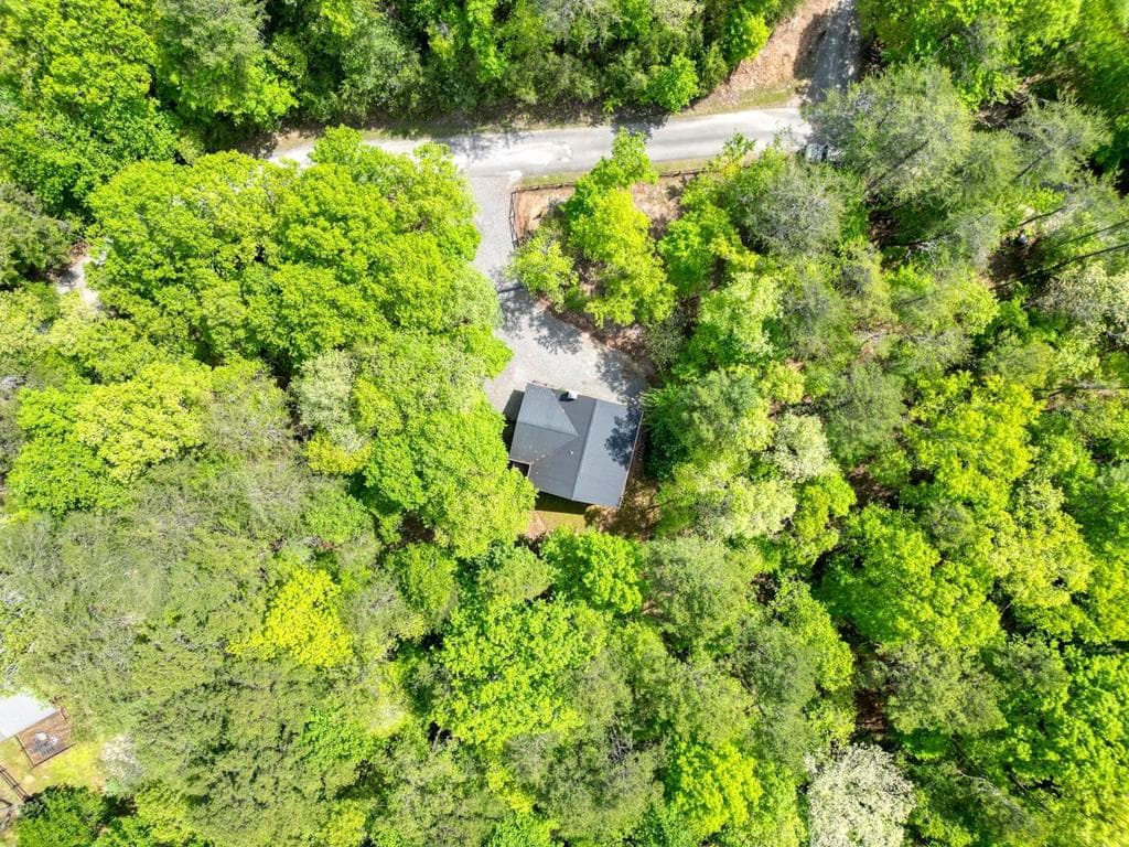 215 The Woods Road, Mineral Bluff GA 30559 - Photo