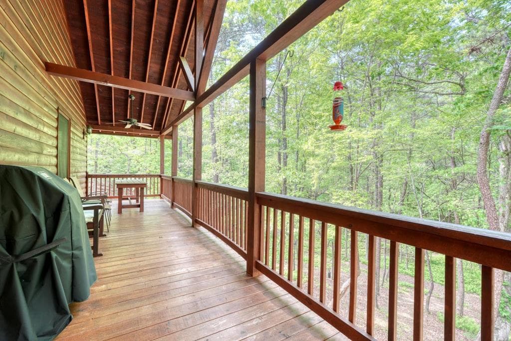 215 The Woods Road, Mineral Bluff GA 30559 - Photo