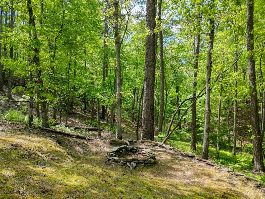 215 The Woods Road, Mineral Bluff GA 30559 - Photo