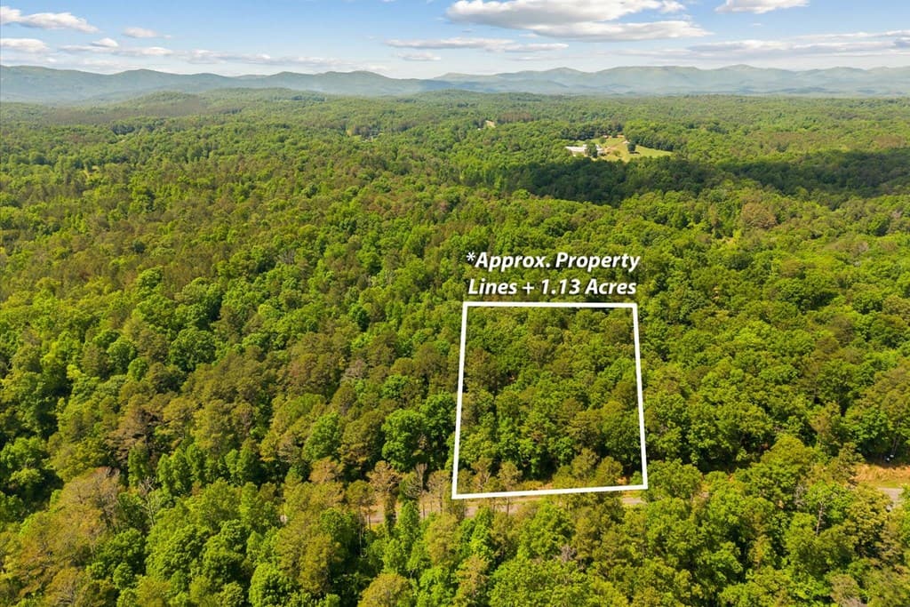 Lot 238 Pinnacle Dr, Ellijay GA 30540 - Photo