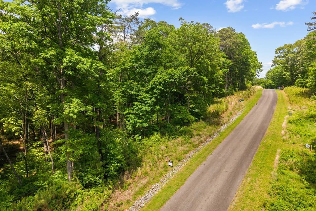 Lot 238 Pinnacle Dr, Ellijay GA 30540 - Photo