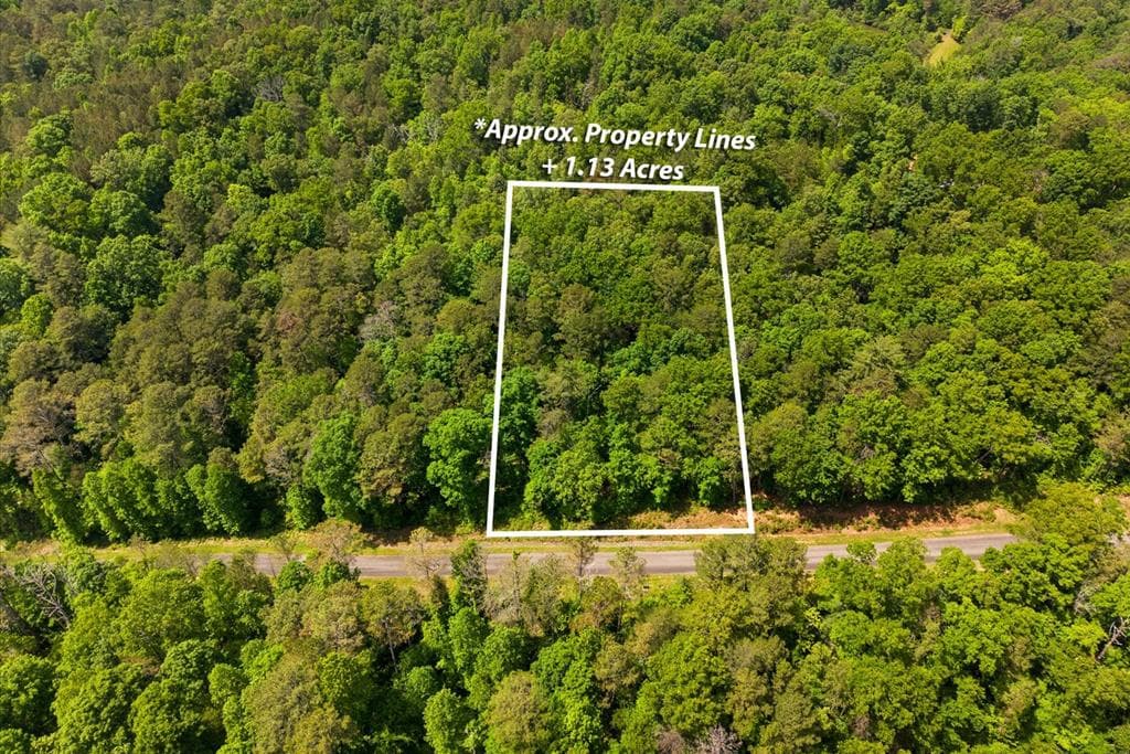 Lot 238 Pinnacle Dr, Ellijay GA 30540 - Primary photo