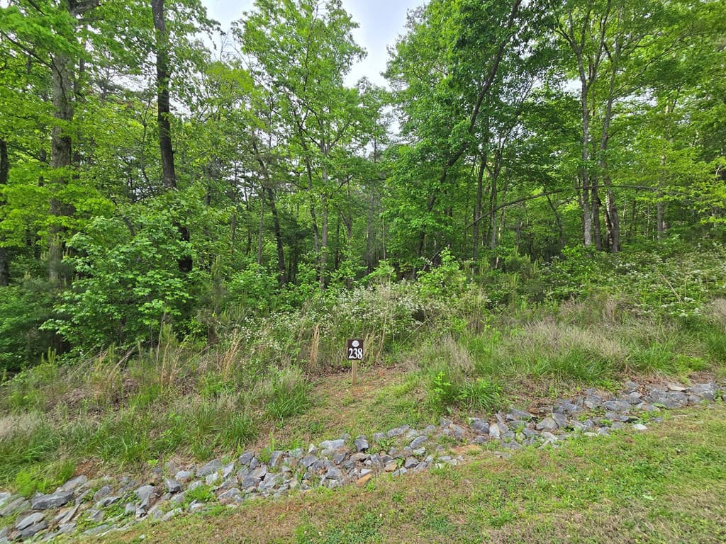 Lot 238 Pinnacle Dr, Ellijay GA 30540 - Photo
