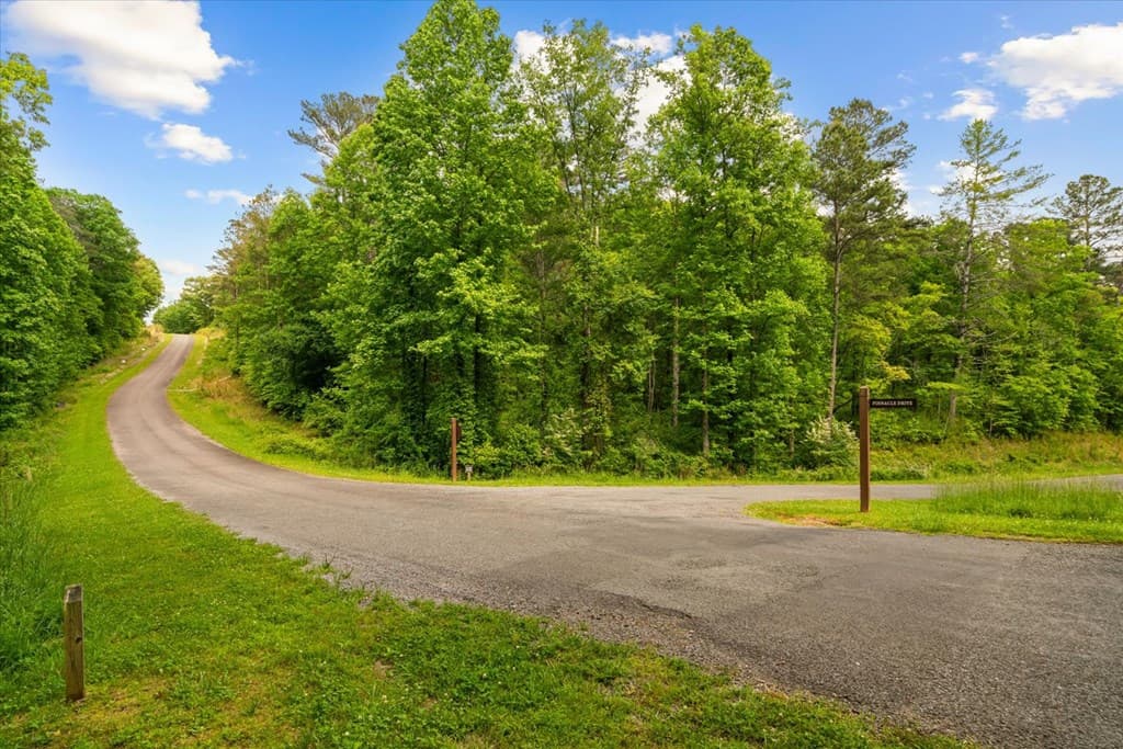 Lot 238 Pinnacle Dr, Ellijay GA 30540 - Photo