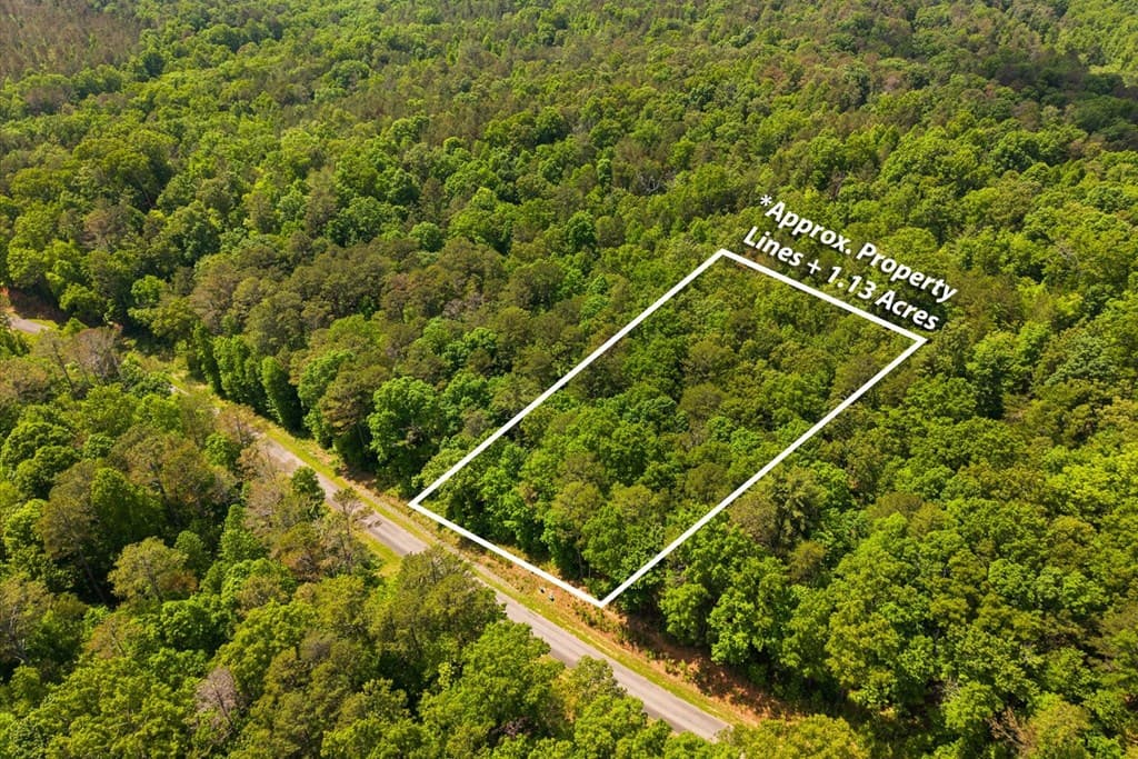 Lot 238 Pinnacle Dr, Ellijay GA 30540 - Photo