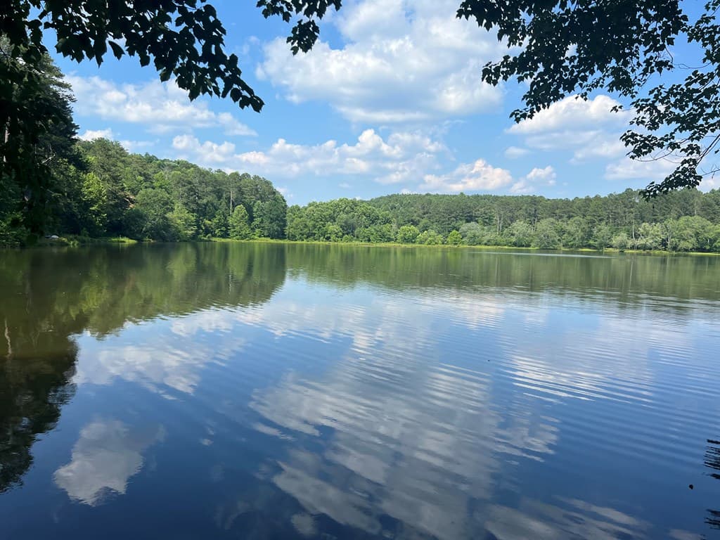 543 Cove Lake Drive, Marble Hill GA 30148 - Photo