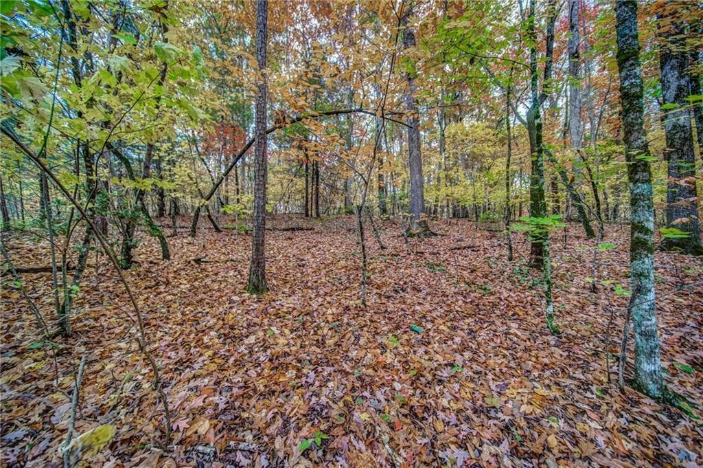 543 Cove Lake Drive, Marble Hill GA 30148 - Photo
