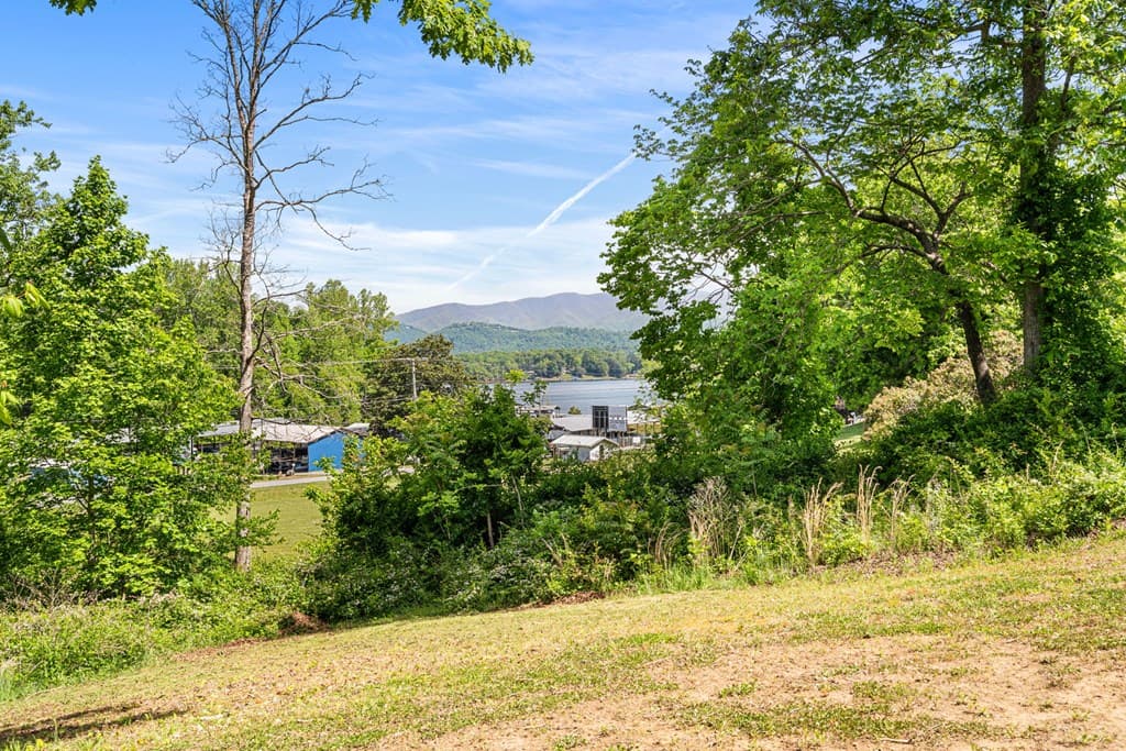 91 Dewey Ridge Lane, Hayesville NC 28904 - Photo