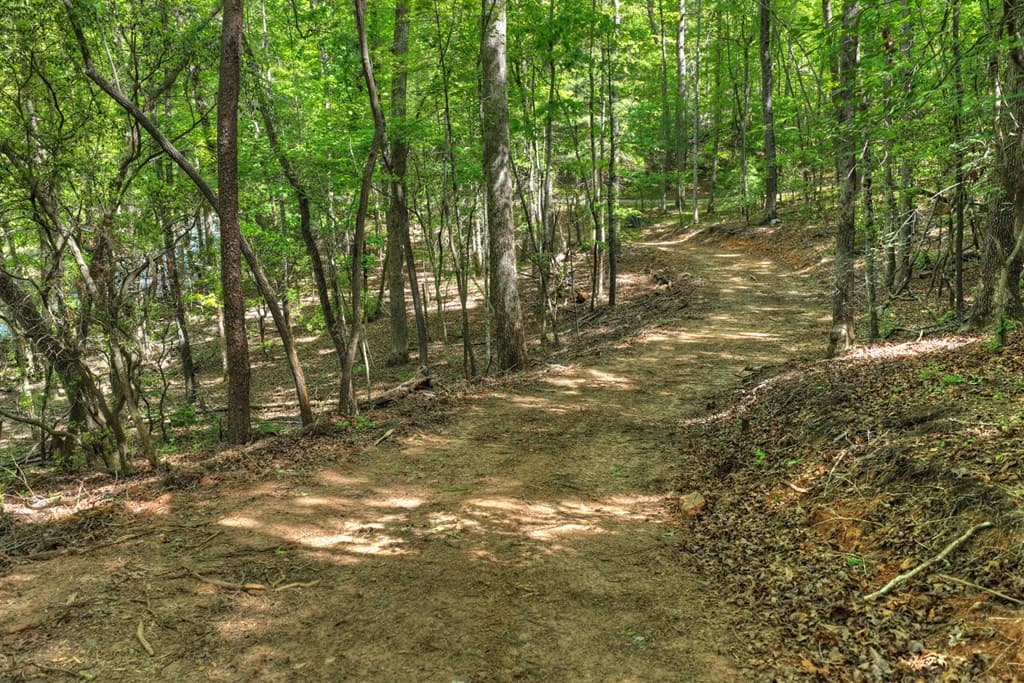 200 Fowler Road, Ellijay GA 30540 - Photo