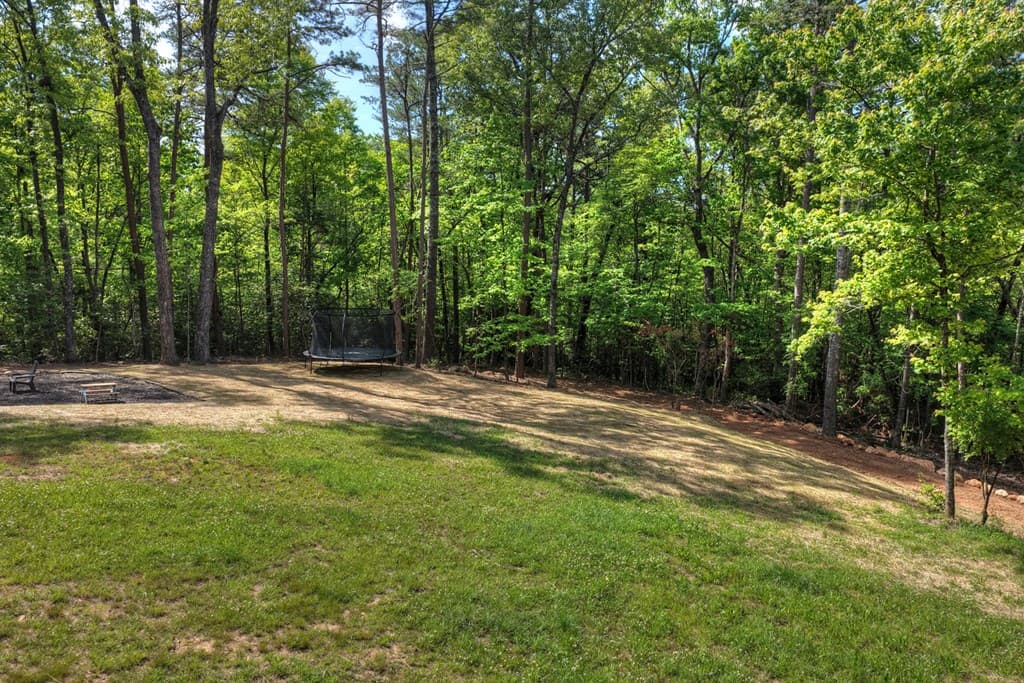 200 Fowler Road, Ellijay GA 30540 - Photo