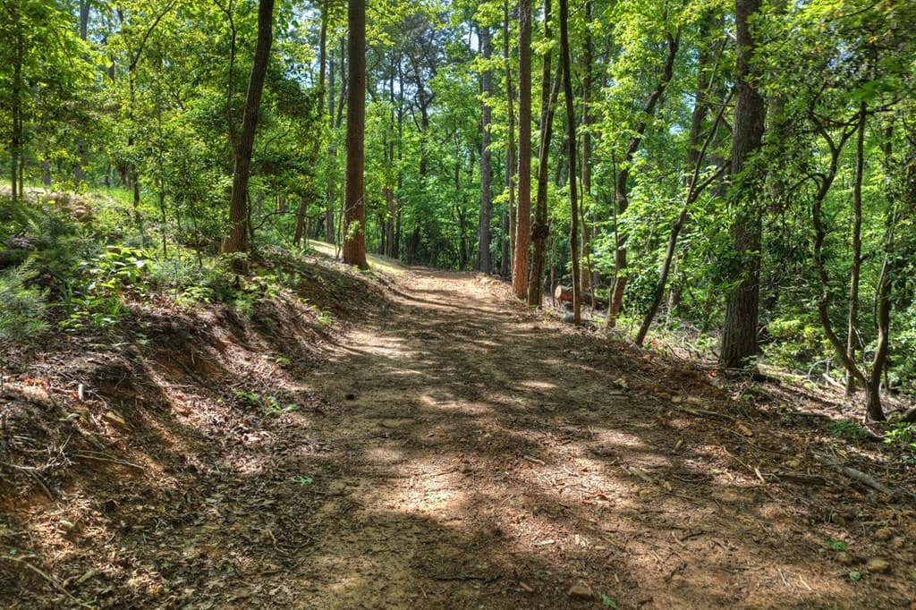 200 Fowler Road, Ellijay GA 30540 - Photo