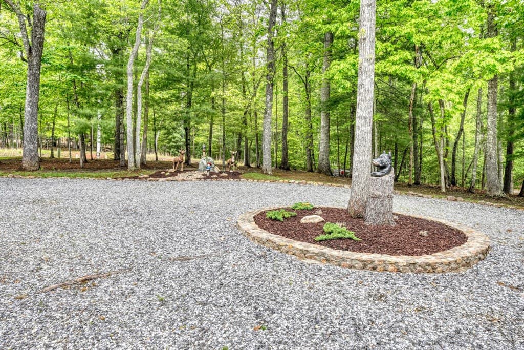 649 Pit Road, Blairsville GA 30512 - Photo