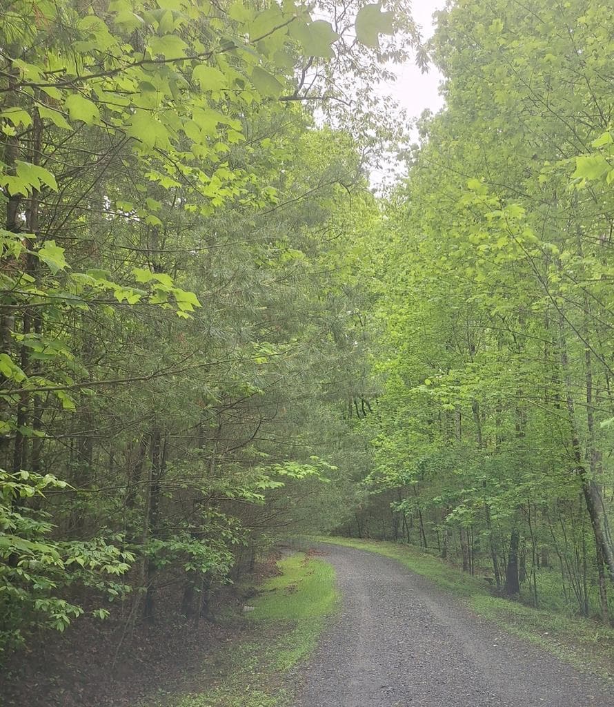 Lot 14 Noontootla Ridge Court, Blue Ridge GA 30513 - Primary photo