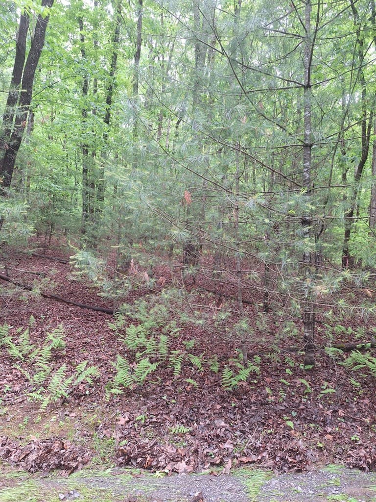 Lot 14 Noontootla Ridge Court, Blue Ridge GA 30513 - Photo