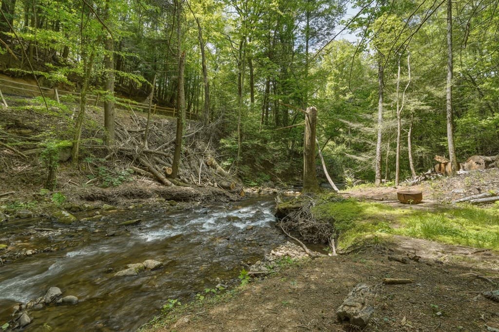 53 Laurel Ridge Drive, Ellijay GA 30536 - Photo