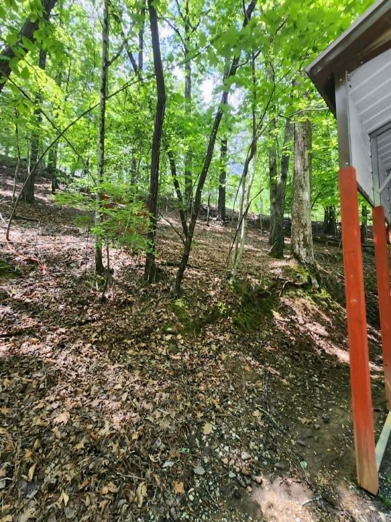 59 37th Street, Ellijay GA 30540 - Photo