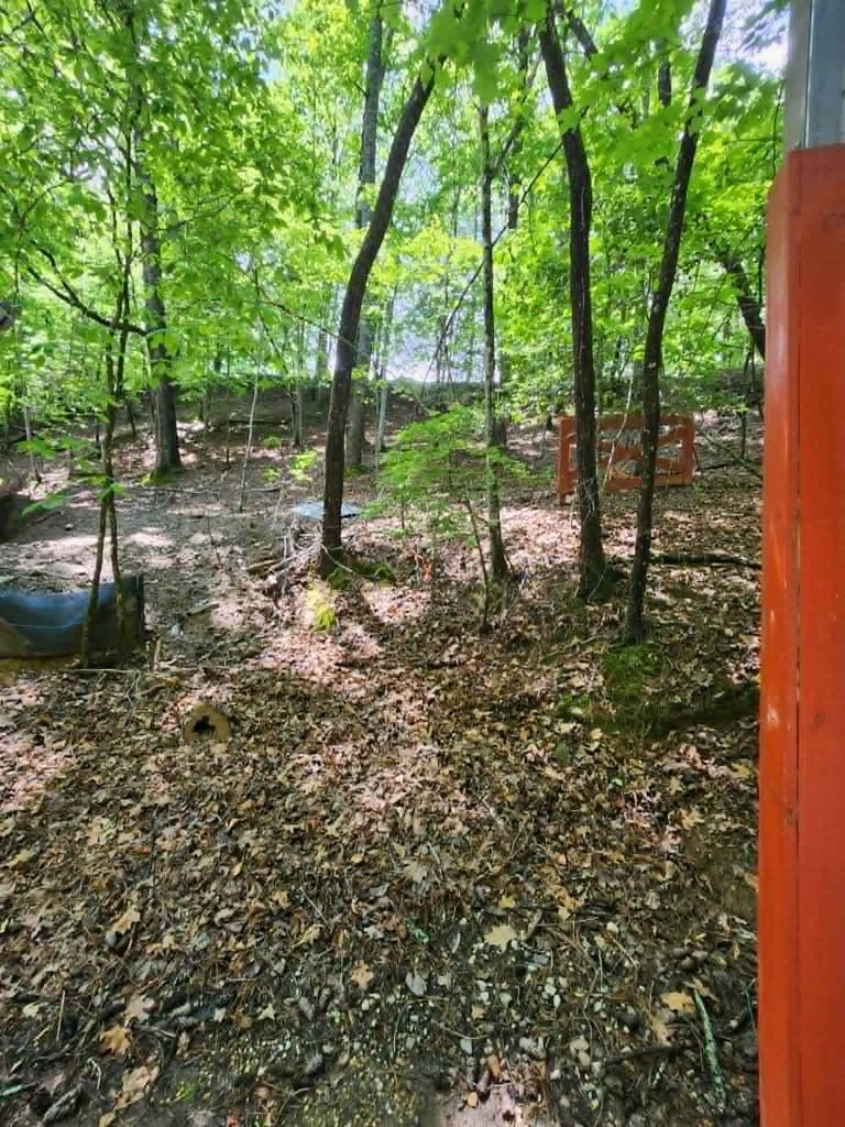 59 37th Street, Ellijay GA 30540 - Photo