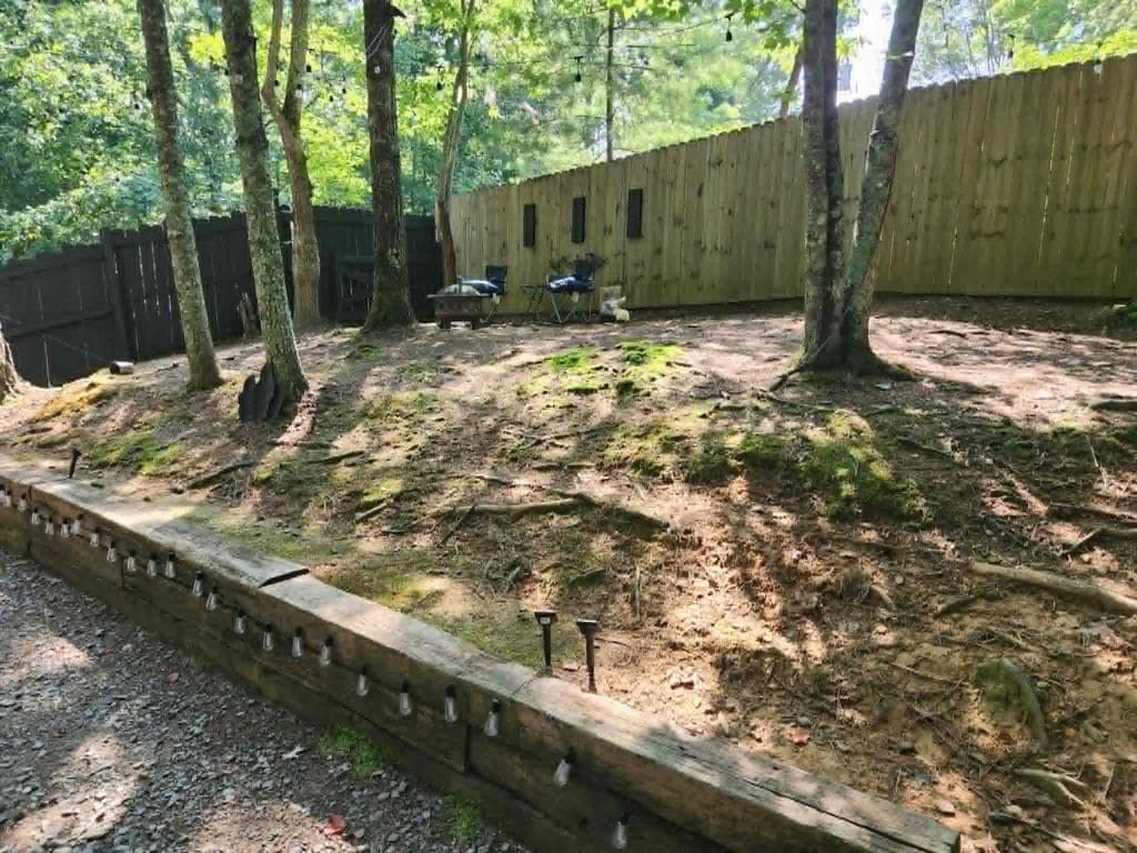 376 10th Street, Ellijay GA 30540 - Photo