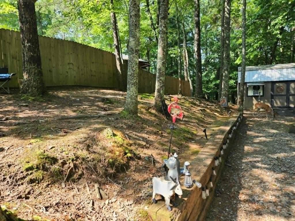 376 10th Street, Ellijay GA 30540 - Photo