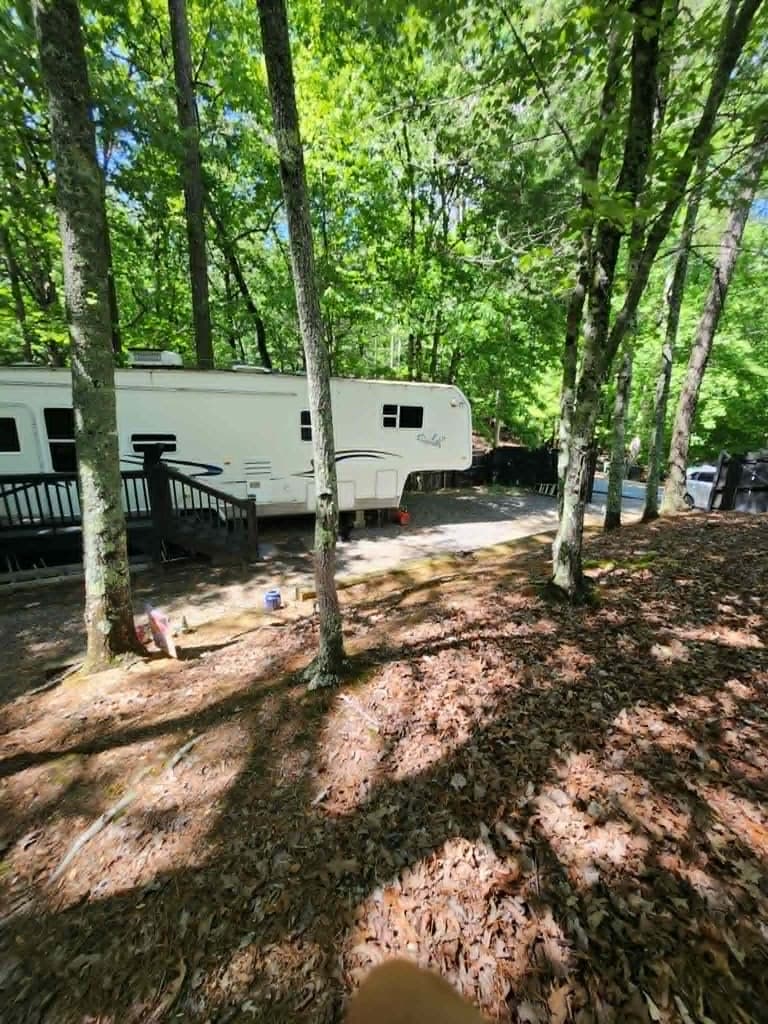 376 10th Street, Ellijay GA 30540 - Photo