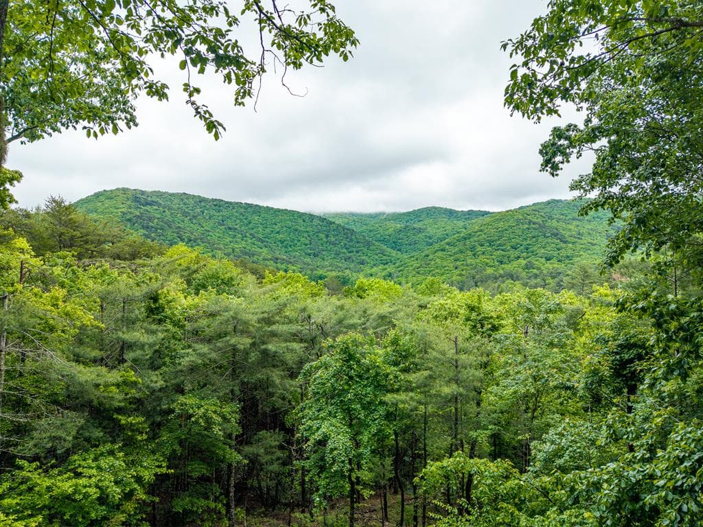 399 Laurel Mountain Road, Blue Ridge GA 30513 - Photo