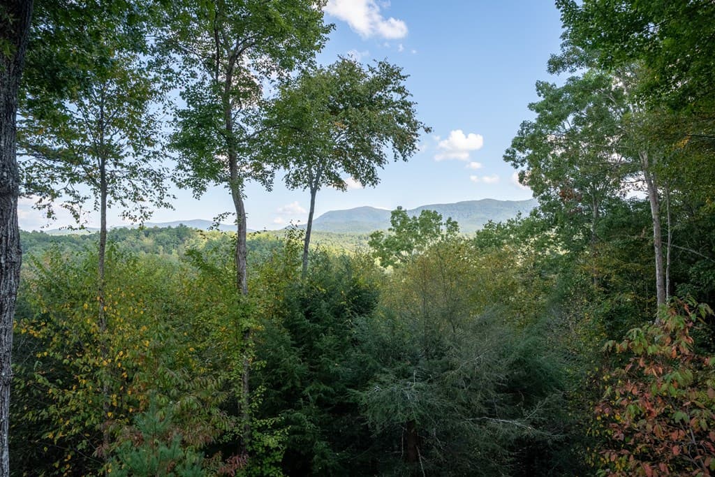 43 Tunica Lane, Ellijay GA 30540 - Photo