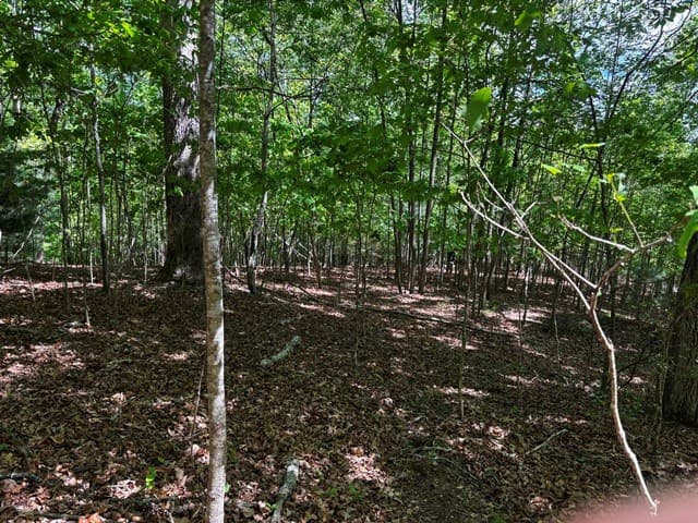 Lot 43 Edgewood Trail, Blairsville GA 30512 - Photo