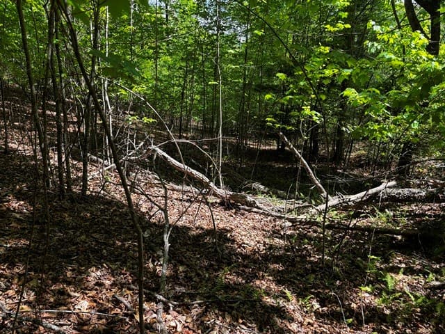 Lot 43 Edgewood Trail, Blairsville GA 30512 - Photo