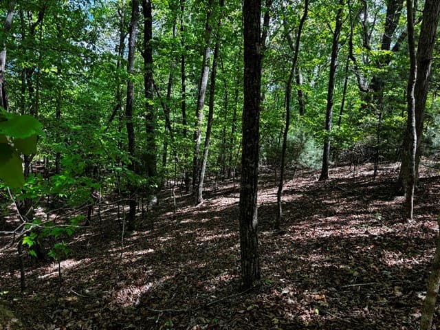 Lot 43 Edgewood Trail, Blairsville GA 30512 - Photo