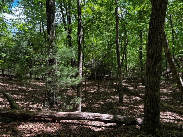 Lot 43 Edgewood Trail, Blairsville GA 30512 - Primary photo